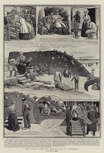 The Whale Cure for Reumatism in Australia